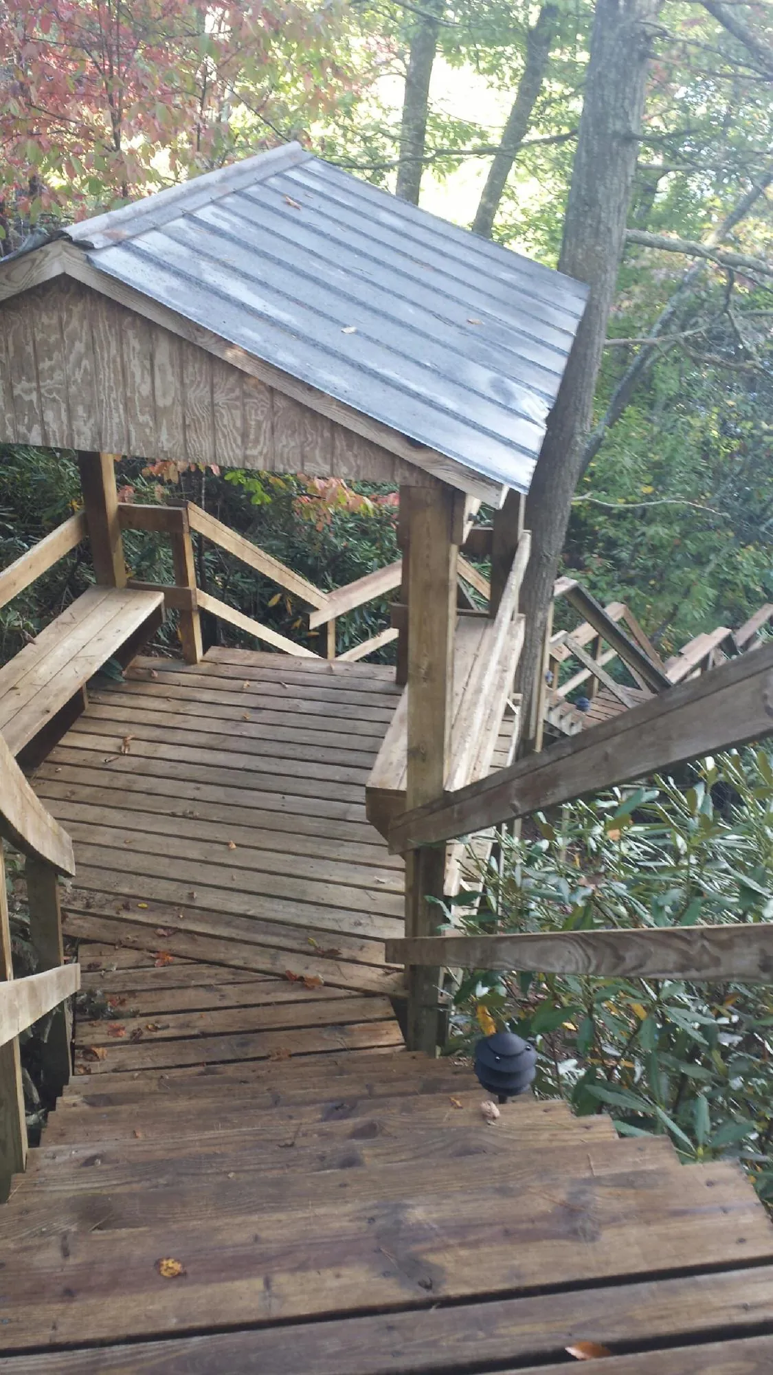Metal roofed shelter over wooden steps on a wooded walkway — Skylight Repair & Installation work by our crew in Thicket